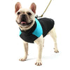 Winter Waterproof Dog Jacket for All Sizes