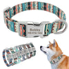 Personalisierte Nylon-Hundehalsband mit graviertem ID-Plättchen