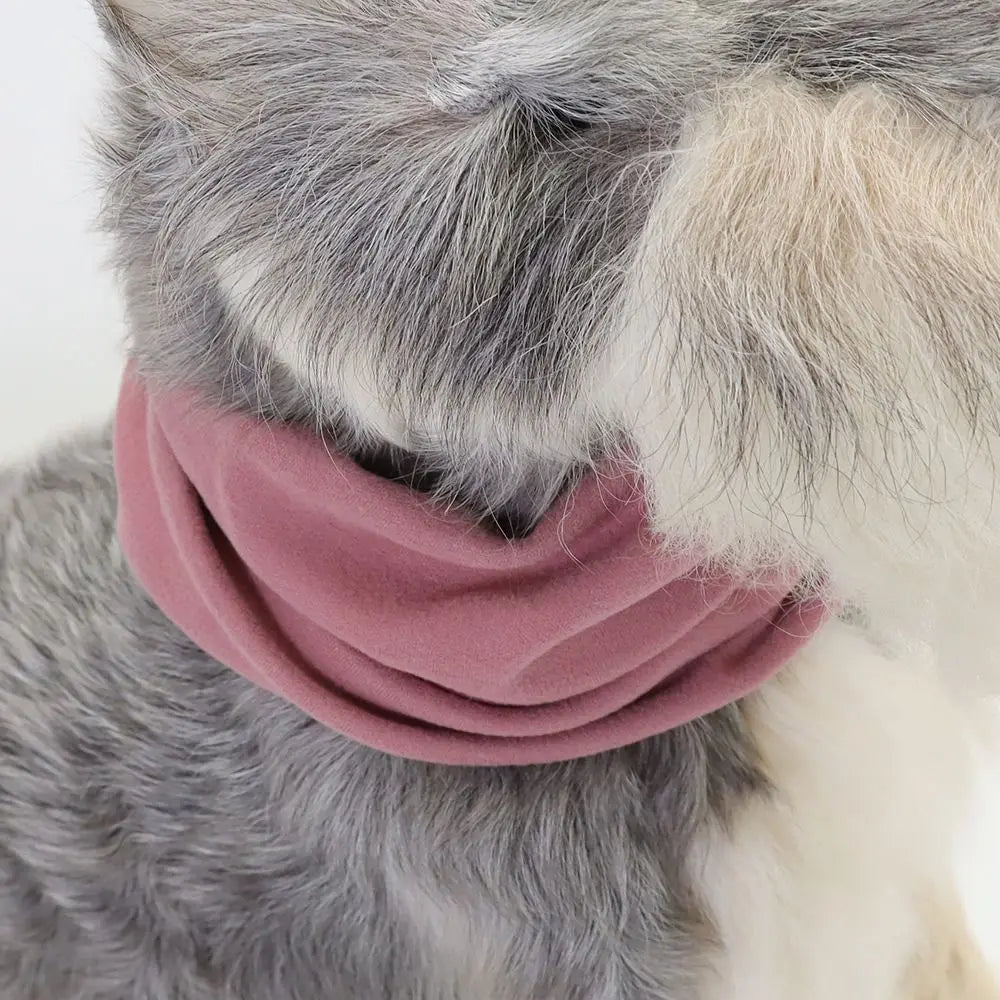 A dog wearing a pink soundproof ear muff covering its ears.