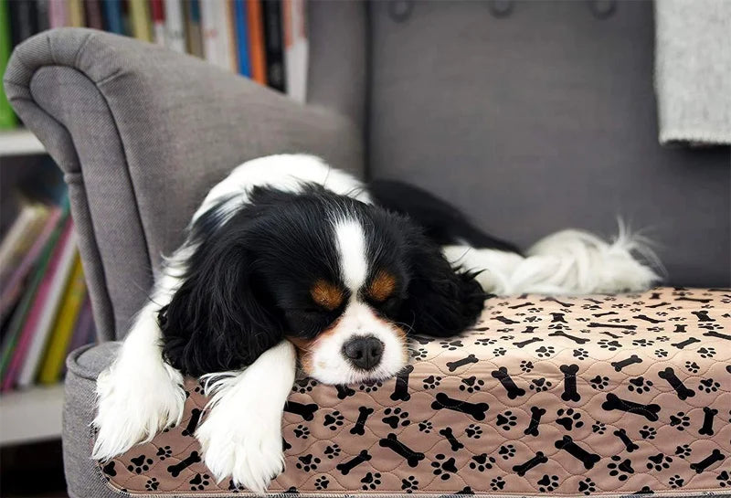 A black and white dog is resting on a patterned mat, demonstrating the reusable dog pee pad product.