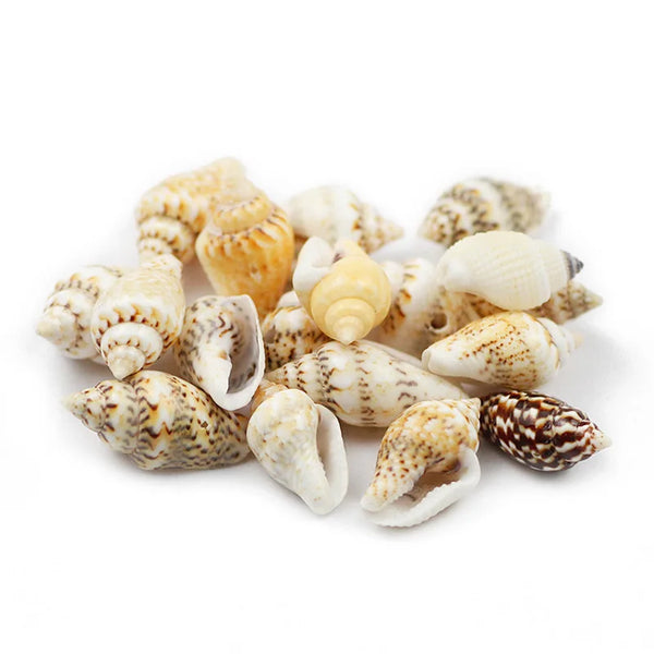A collection of natural sea shell beads in various shades of cream, yellow, and brown are displayed on a white background.