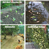Durable Garden Netting for Bird and Pest Protection