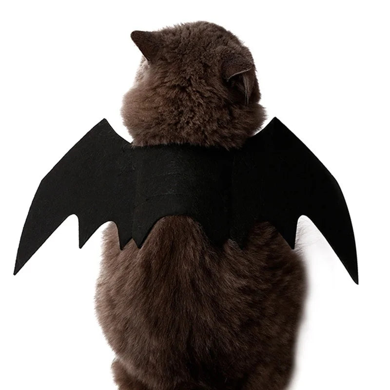 Cat Bat Wing Costume Accessory with Adjustable Straps