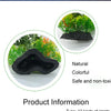 Plantes artificielles pour aquarium assorties