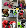 Impermeable para perros con estampado de cara divertida