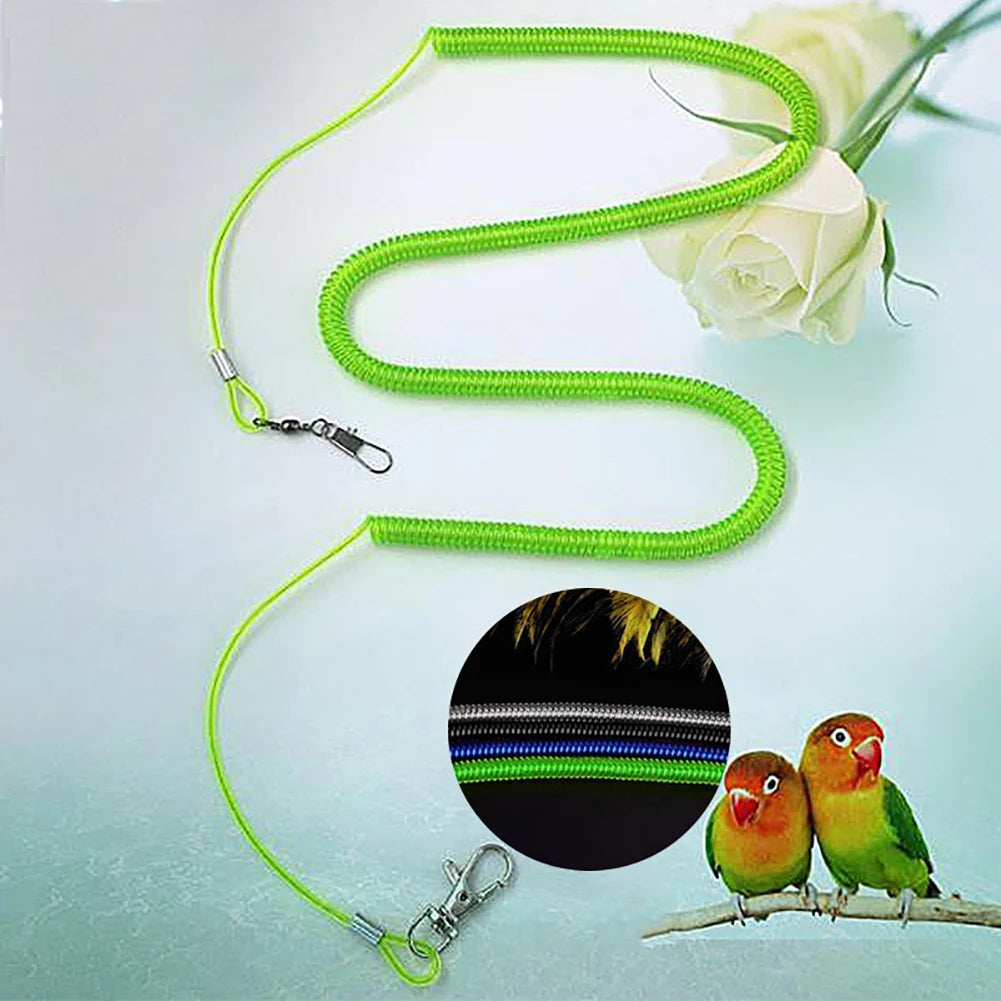 A bright green leash for parrot training, featuring a flexible collar and clip, displayed next to a white rose and a small bi