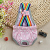 Pink and rainbow striped washable physiological dog underwear with a pink flower detail