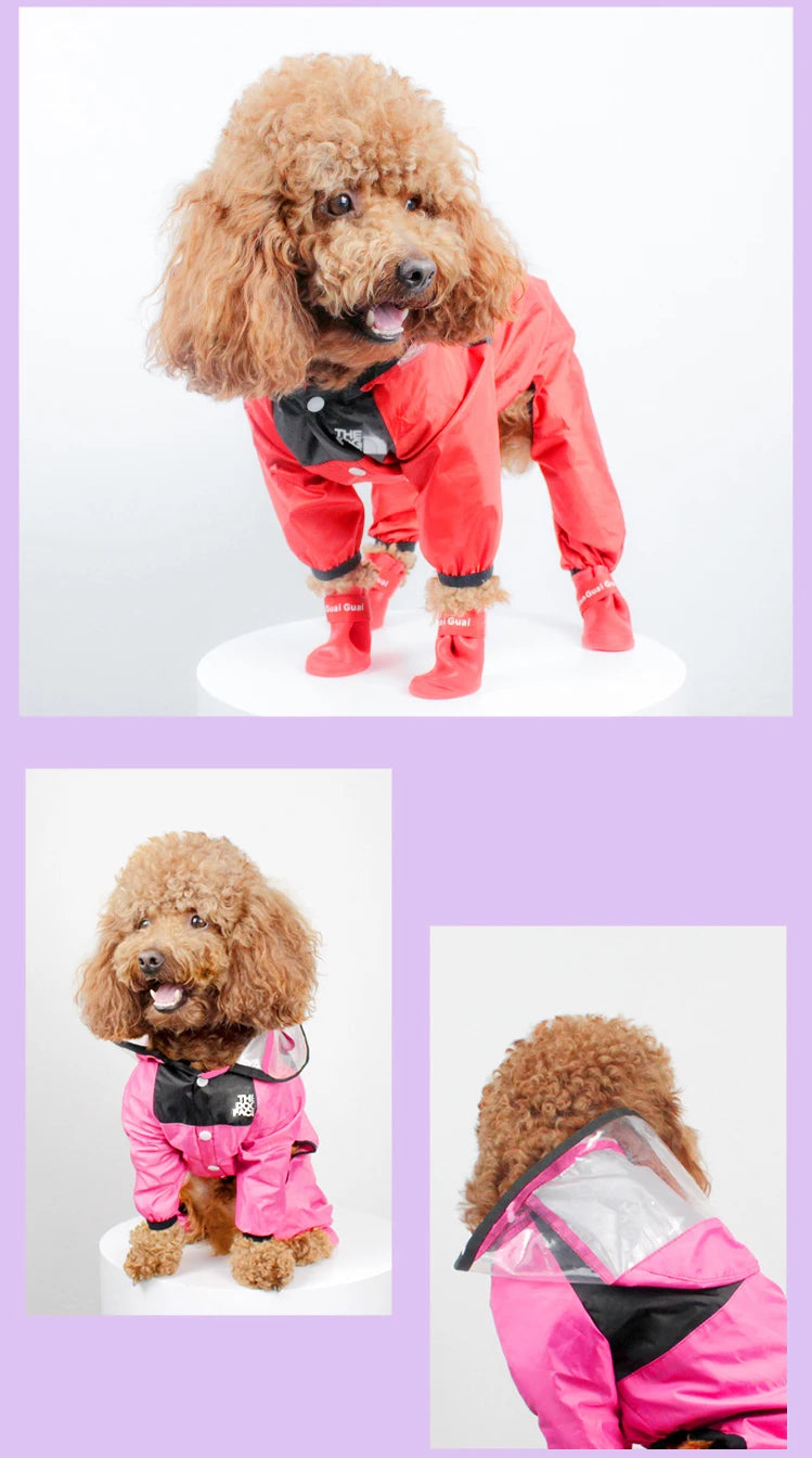 Impermeable para perros con estampado de cara divertida