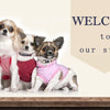 Bowknot Dog Harness, Collar & Leash Set