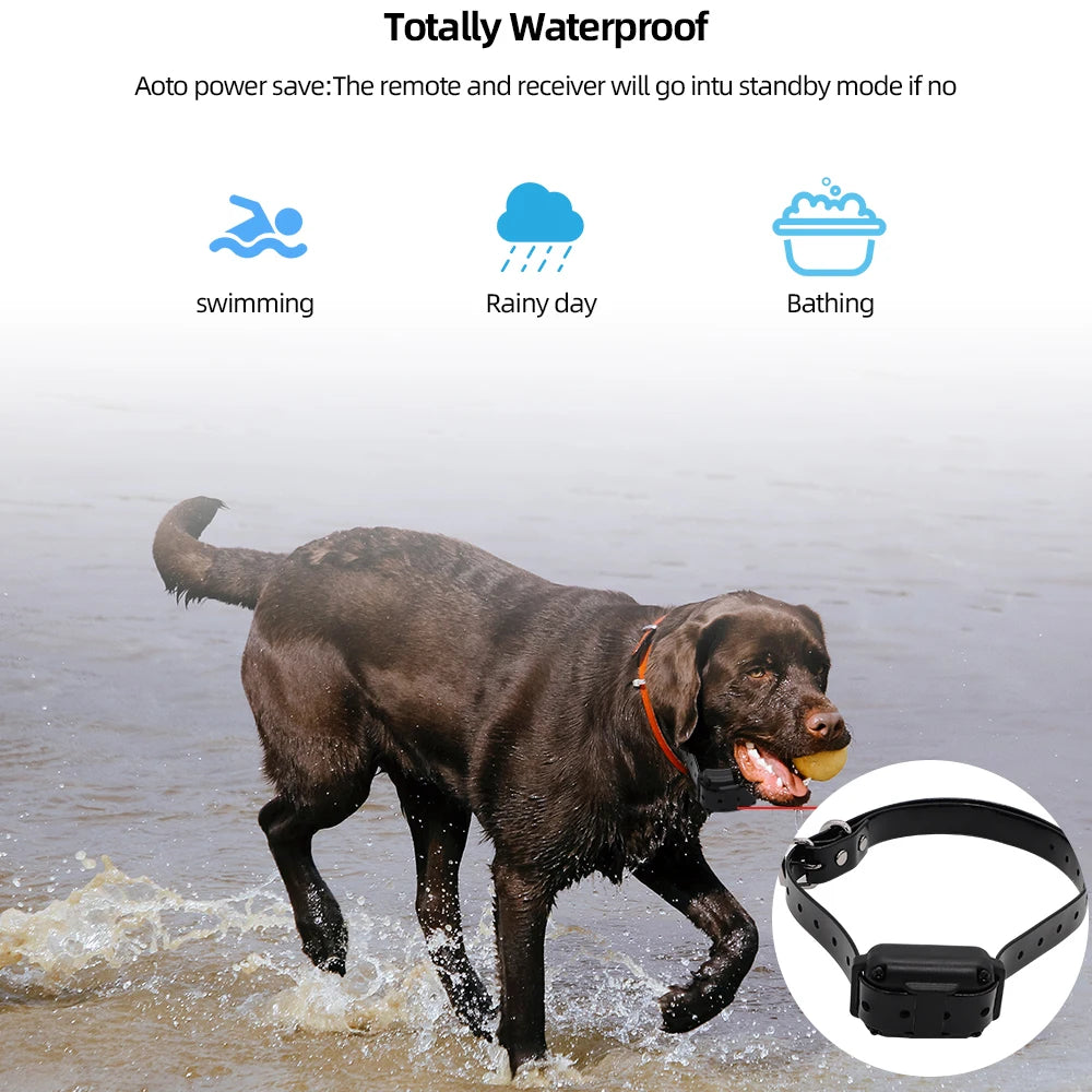 Rechargeable Dog Training Collar with Remote – 800m Range, Waterproof