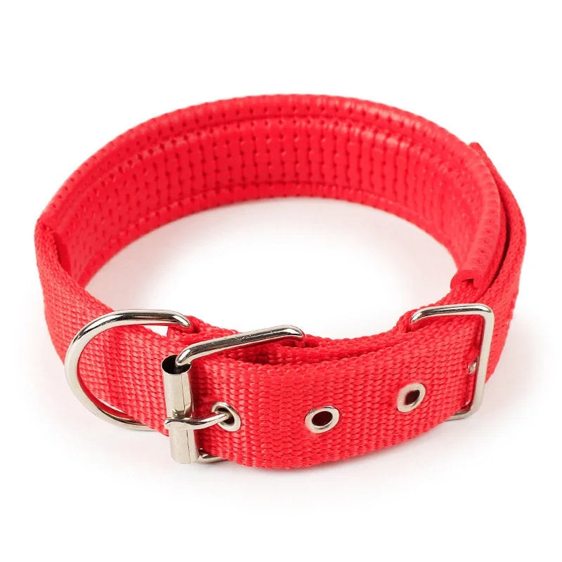 A bright red soft cotton adjustable dog collar with a silver buckle.
