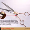 Professional 3-Piece Dog Grooming Scissors Set — Straight, Thinning & Curved