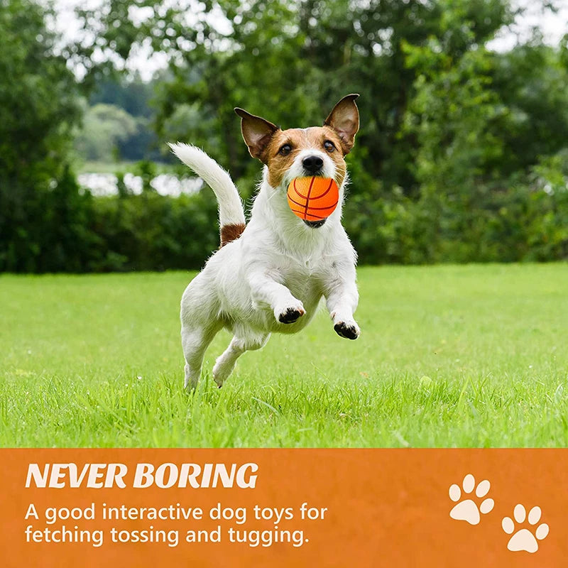 A happy dog is jumping to catch an orange basketball in a grassy field.
