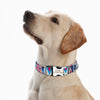 Personalisierte Nylon-Hundehalsband mit graviertem ID-Plättchen