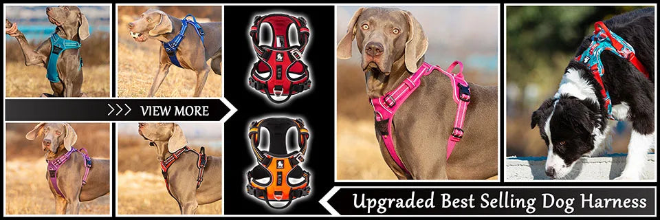 A collection of padded and adjustable dog harnesses and collars in various colors, including red, black, pink, and blue.