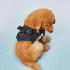 Adjustable No-Pull Dog Harness with Reflective Straps