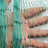 Durable Garden Netting for Bird and Pest Protection