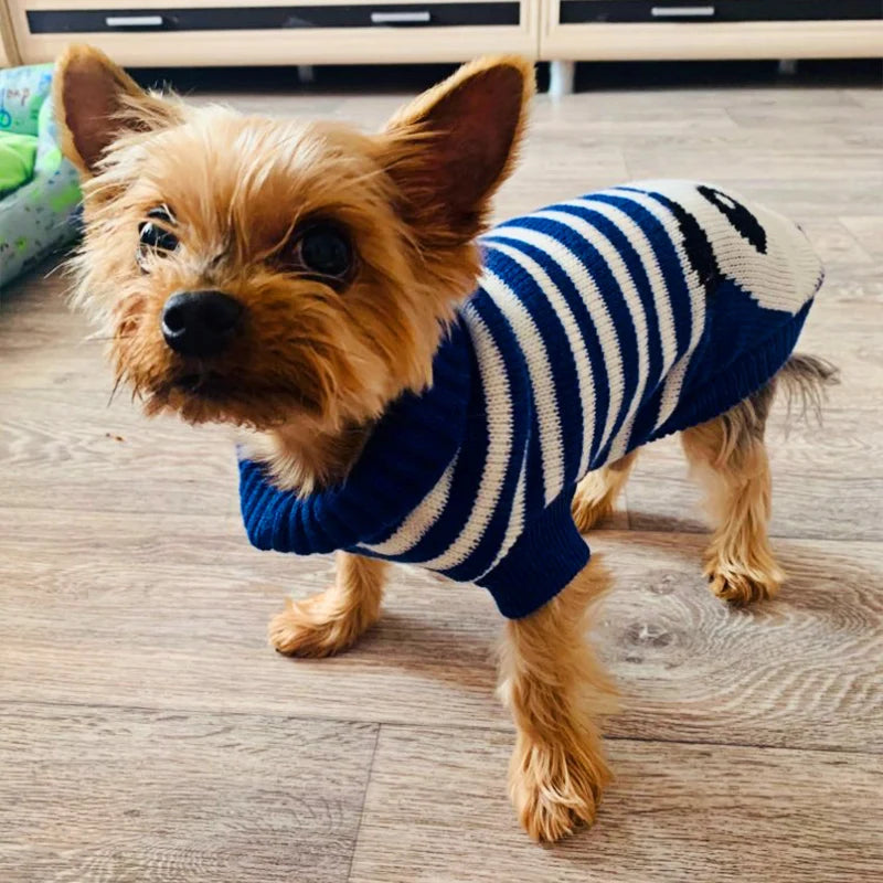 Suéter de Punto Acogedor para Perro