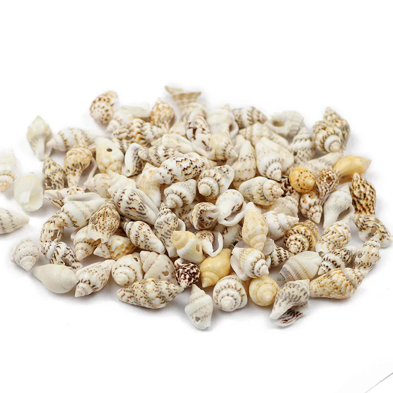 A pile of natural sea shell beads in various shades of white, beige, and brown for jewelry making.