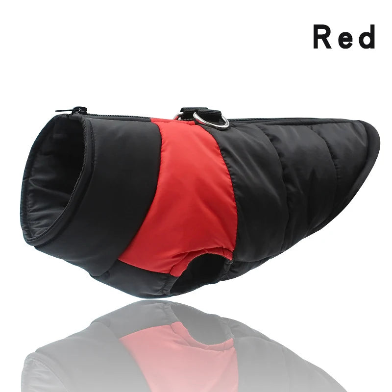 Chaleco impermeable acolchado para perro