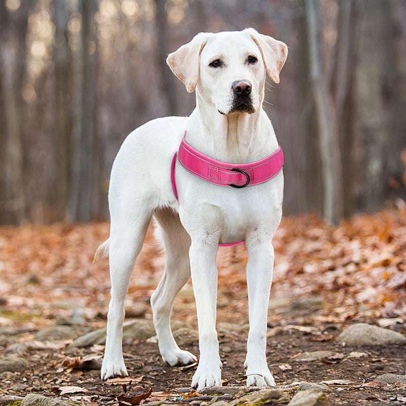 Nylon Durable Dog Harness with Handle - No-Pull Reflective