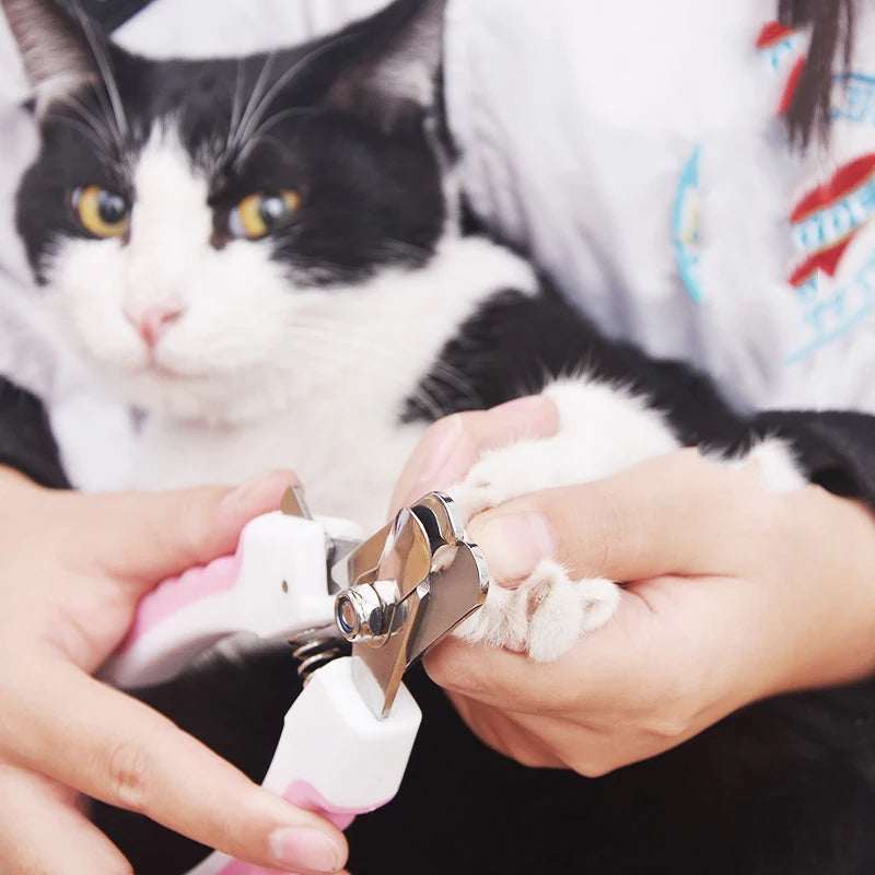 Stainless Steel Pet Nail Clippers for Dogs and Cats
