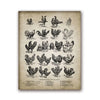Vintage Farm Animals Poster Print - Chicken, Pig, Sheep and Horse