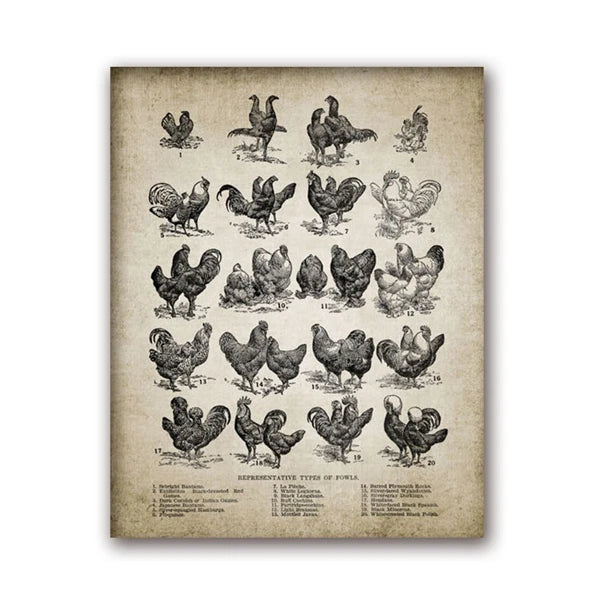 Vintage Farm Animals Poster Print - Chicken, Pig, Sheep and Horse
