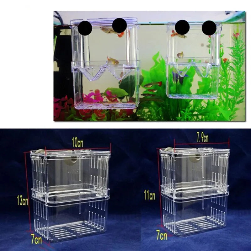 Clear Acrylic Fish Breeding Isolation Box with Floating Design