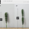 Artificial Cactus Succulent Plant – Lifelike Green Decor