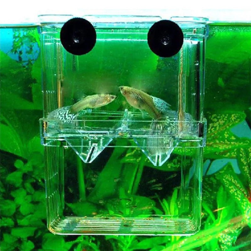 Clear Acrylic Fish Breeding Isolation Box with Floating Design