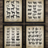 Vintage Farm Animals Poster Print - Chicken, Pig, Sheep and Horse