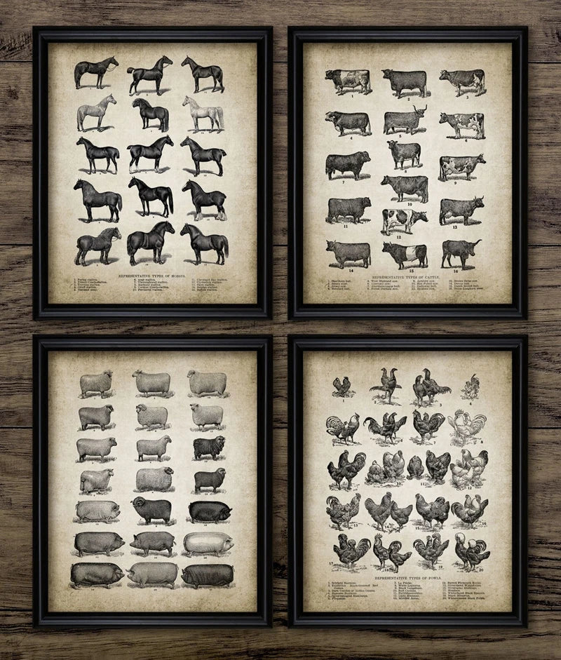 Vintage Farm Animals Poster Print - Chicken, Pig, Sheep and Horse