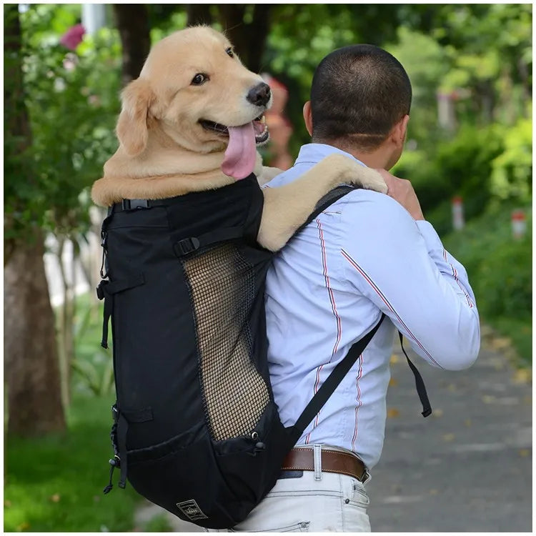 Ein Mann trägt einen hellen Hund in einem schwarzen belüfteten Rucksack beim Spaziergang.