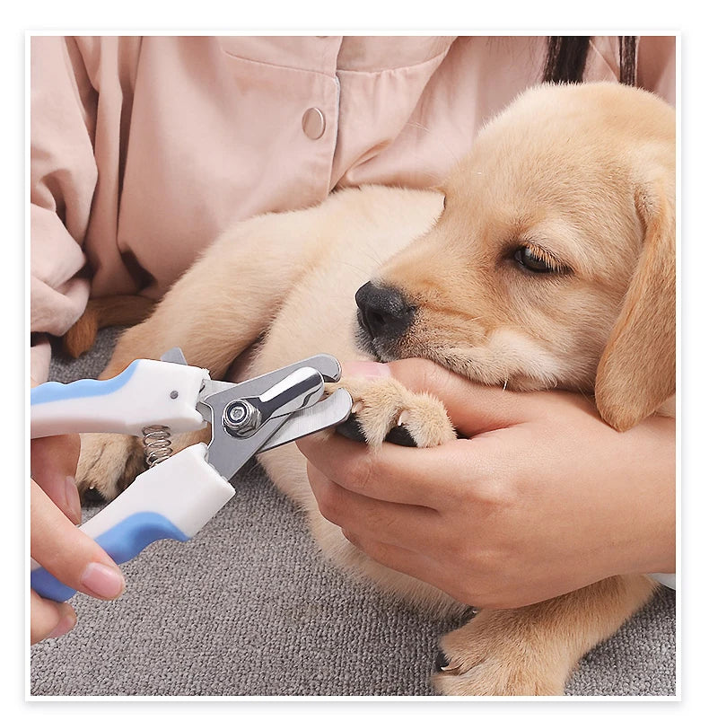 Stainless Steel Pet Nail Clippers for Dogs and Cats