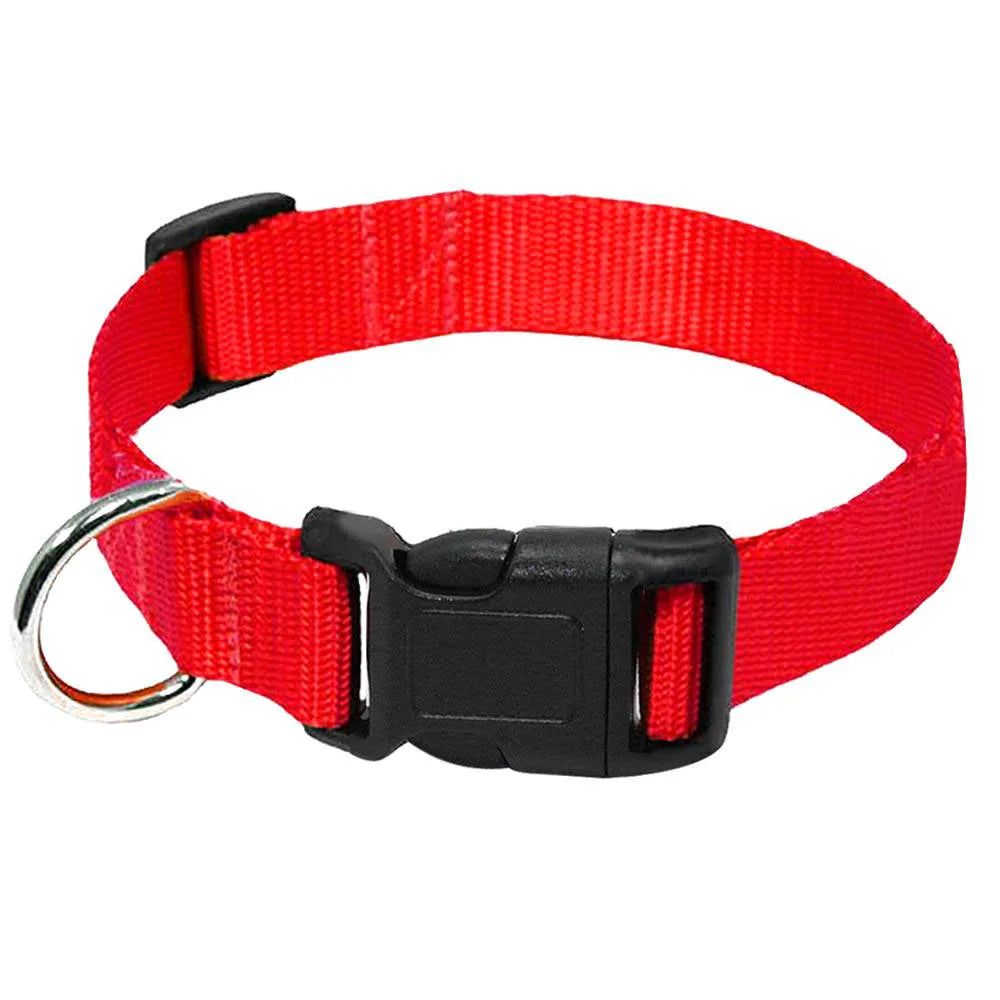 Red nylon dog collar with a black quick-release buckle.