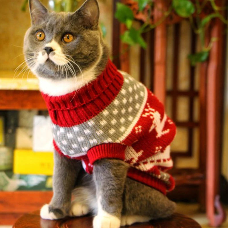 Cute Cat Sweater Costume for Cats