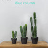 Artificial Cactus Succulent Plant – Lifelike Green Decor