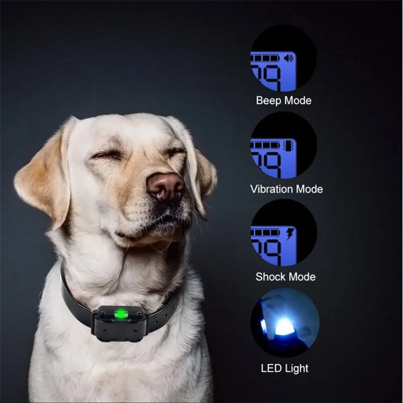 A light-colored dog wearing a black training collar with various mode indicators for sound, vibration, shock, and LED light.