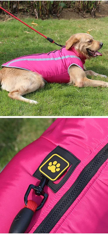 Un golden retriever portant un manteau de chien imperméable rose vif avec un patch empreinte de patte jaune.
