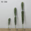 Artificial Cactus Succulent Plant – Lifelike Green Decor