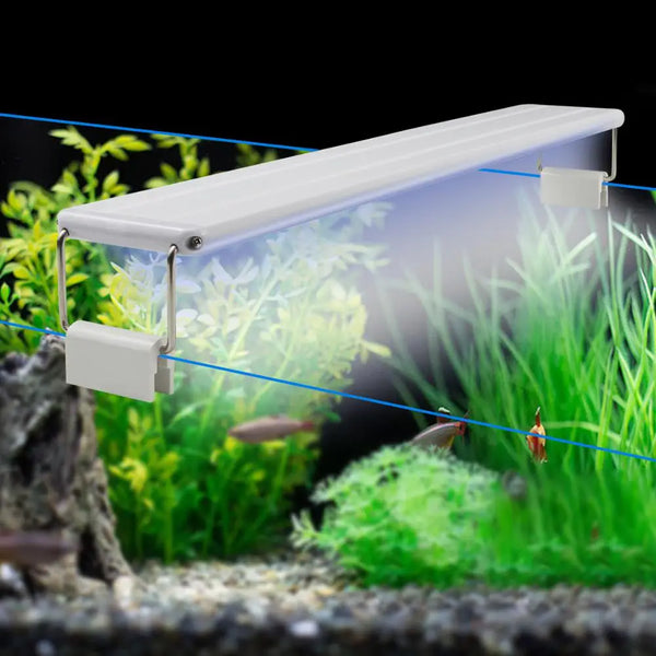 Lampe LED à clipser pour aquarium
