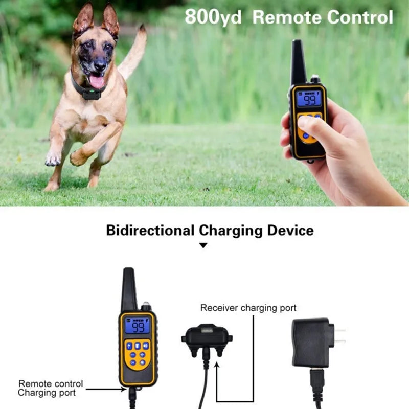 A dog is shown next to a hand holding a remote control device for a bidirectional charging device.