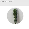 Artificial Cactus Succulent Plant – Lifelike Green Decor