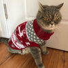 Cute Cat Sweater Costume for Cats