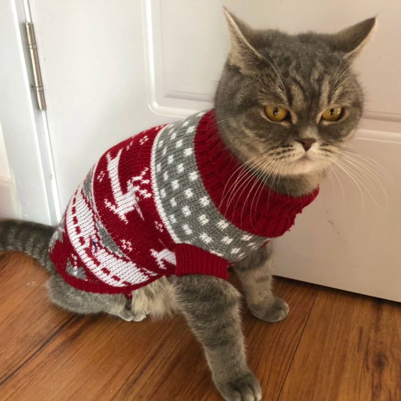 Cute Cat Sweater Costume for Cats