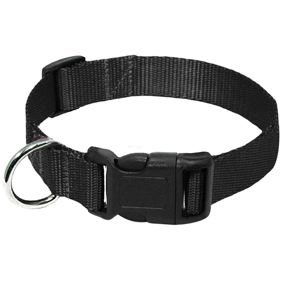 Black adjustable nylon dog collar with a quick-release buckle