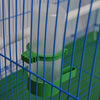 A clear plastic clip-on bird feeder and waterer set with green components inside a blue wire cage.