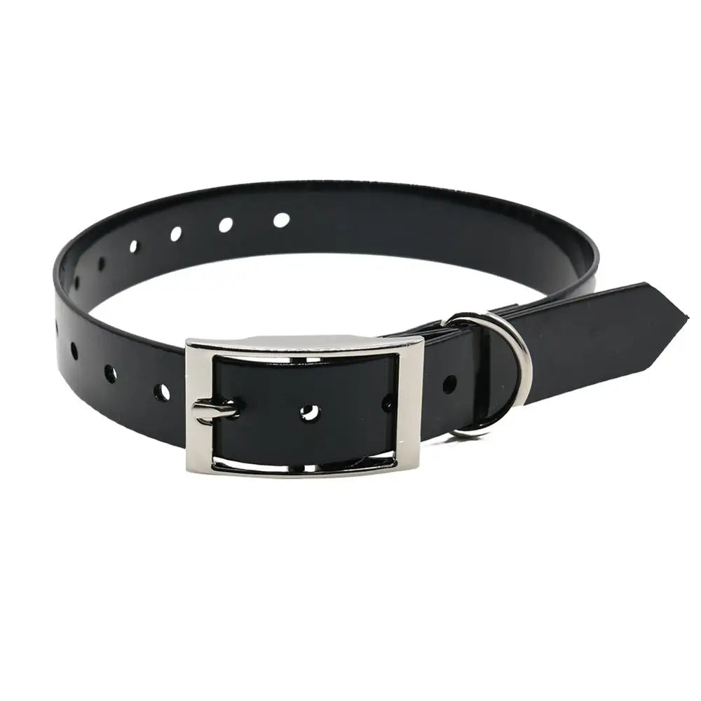 Collier pour chien en nylon waterproof noir avec boucle argentée et sangle en cuir.