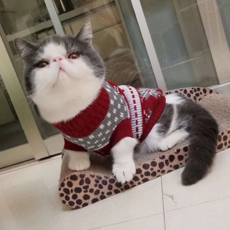 Cute Cat Sweater Costume for Cats
